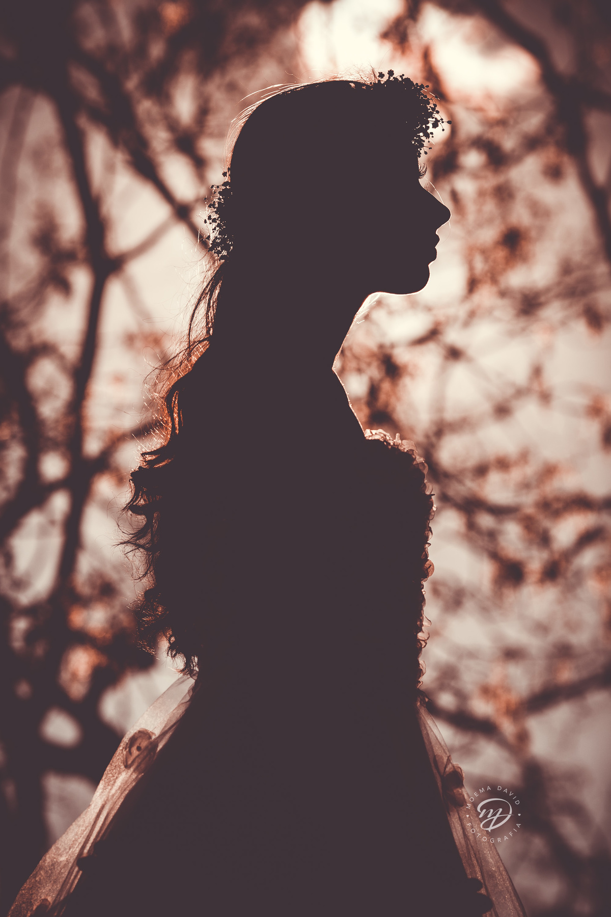 Debutante 15 anos natureza ar livre coroa de flores vestido rosa floral galhos luz natural pperfil