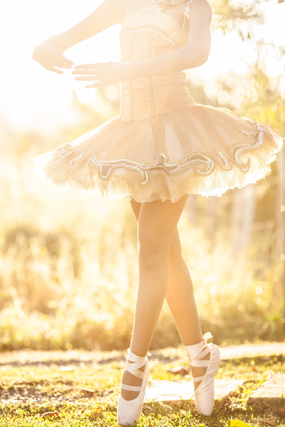 Debutante 15 anos natureza ar livre coroa de flores vestido rosa floral galhos luz natural floresta bailarina