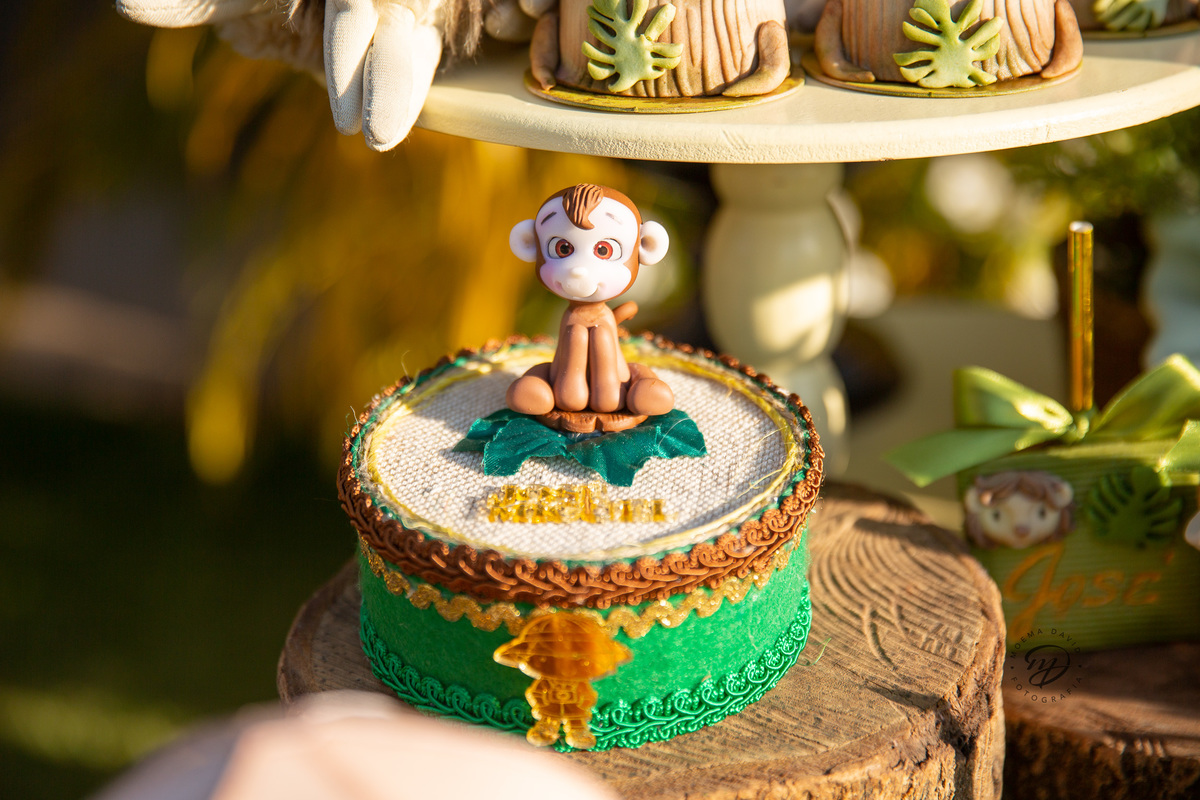 Aniversário Safari Baby: personalizado lindo de macaquinho.
