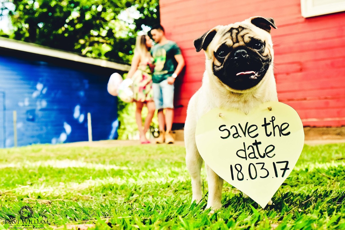 Fotógrafo de Casamento Brasília - Fotografia de Casamento Brasília