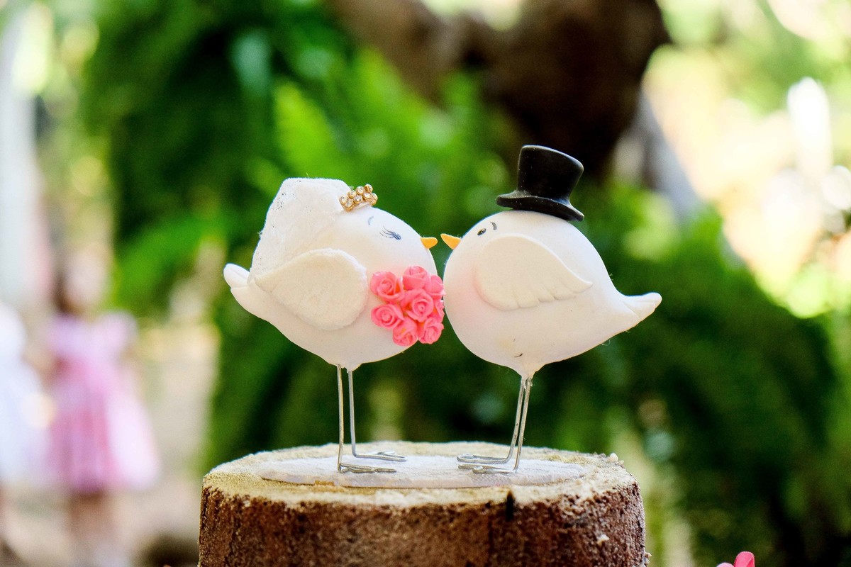 Fotógrafo de Casamento Brasília - Fotografia de Casamento Brasília