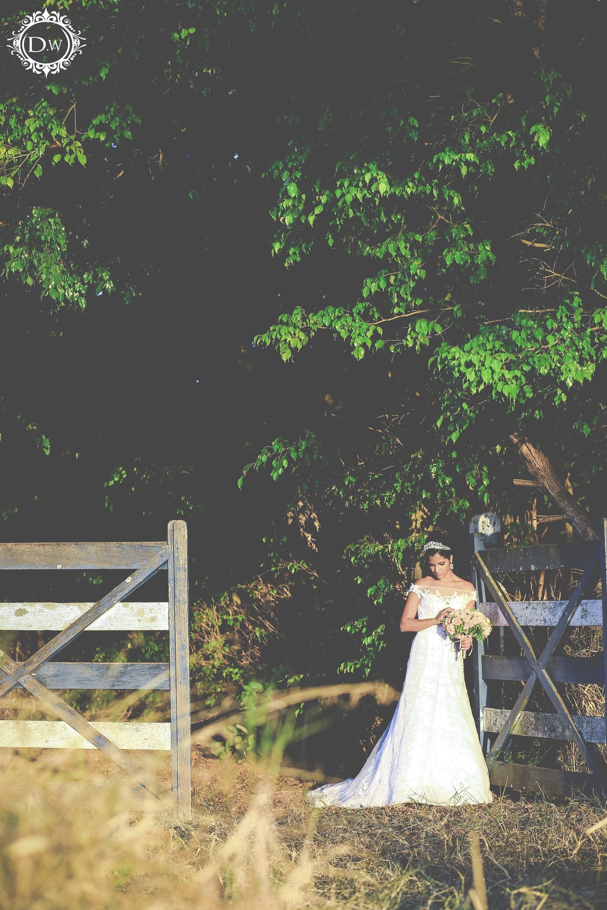 Fotógrafo de Casamento Brasília - Fotografia de casamento - Fotógrafos - Davi William