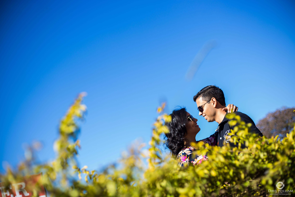 Parque da Cidade - Fotógrafo Davi William