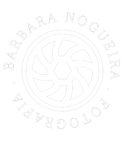 Logotipo de Bárbara Nogueira e Lana