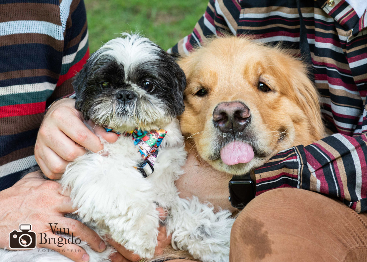 Ensaio família de Ângelo e Marco