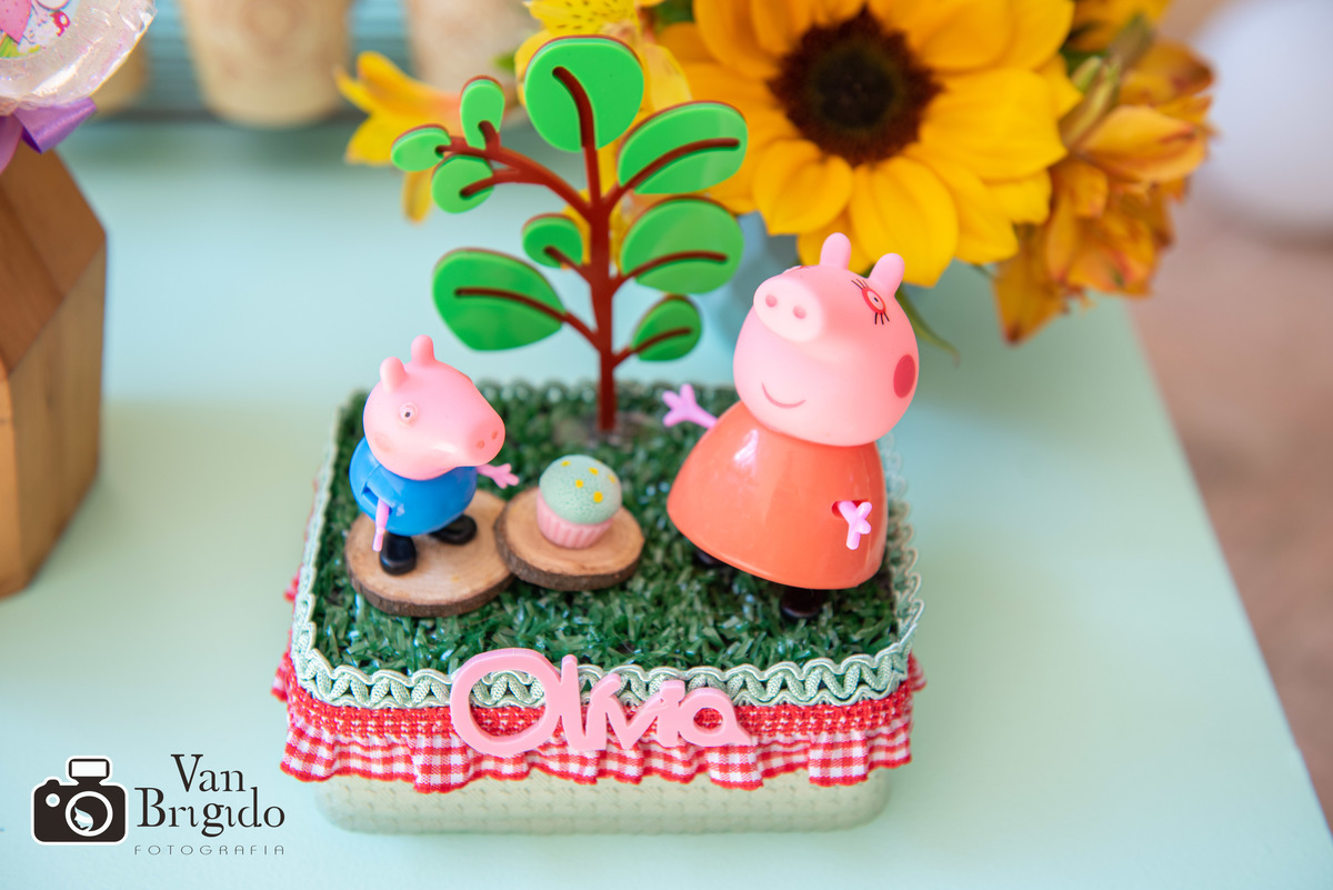 Festa infantil Olívia 4 anos