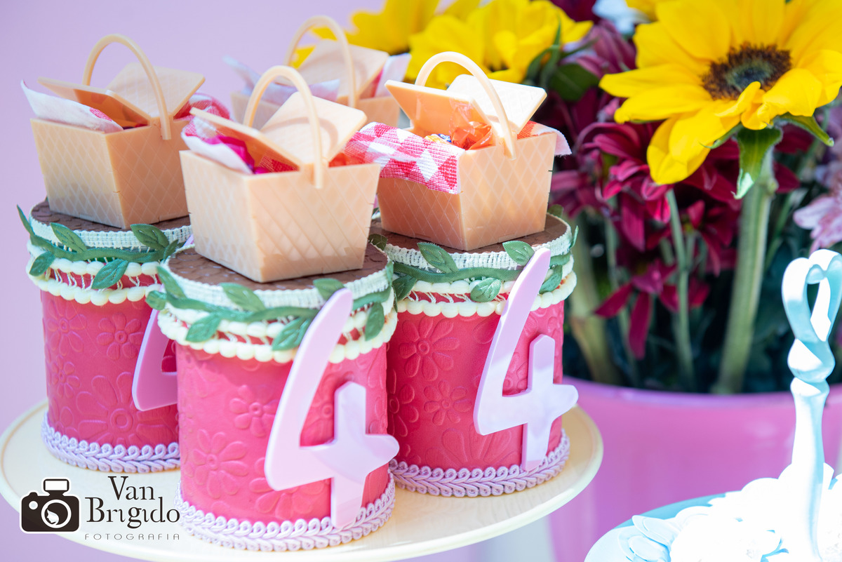 Festa infantil Olívia 4 anos