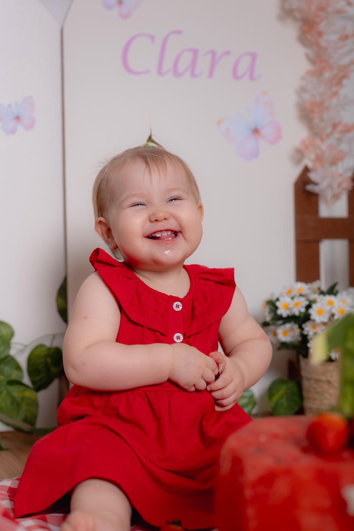 smash the cake - meu primeiro ano - aniversário infantil em studio - 1 aninho - fotografo maua da sera - apucarana - marilandia do sul - California - PAraná - 