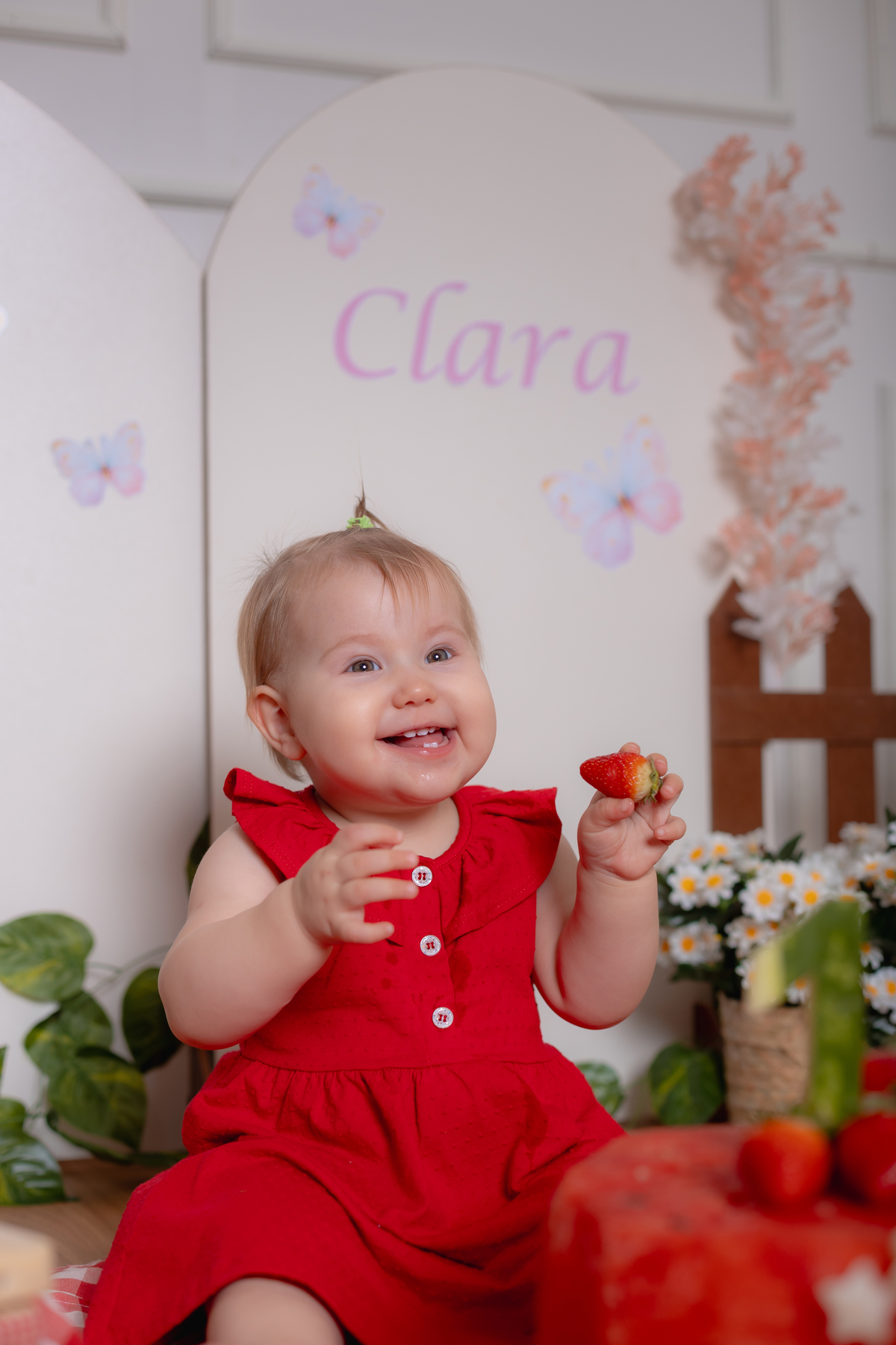 smash the cake - meu primeiro ano - aniversário infantil em studio - 1 aninho - fotografo maua da sera - apucarana - marilandia do sul - California - PAraná - 