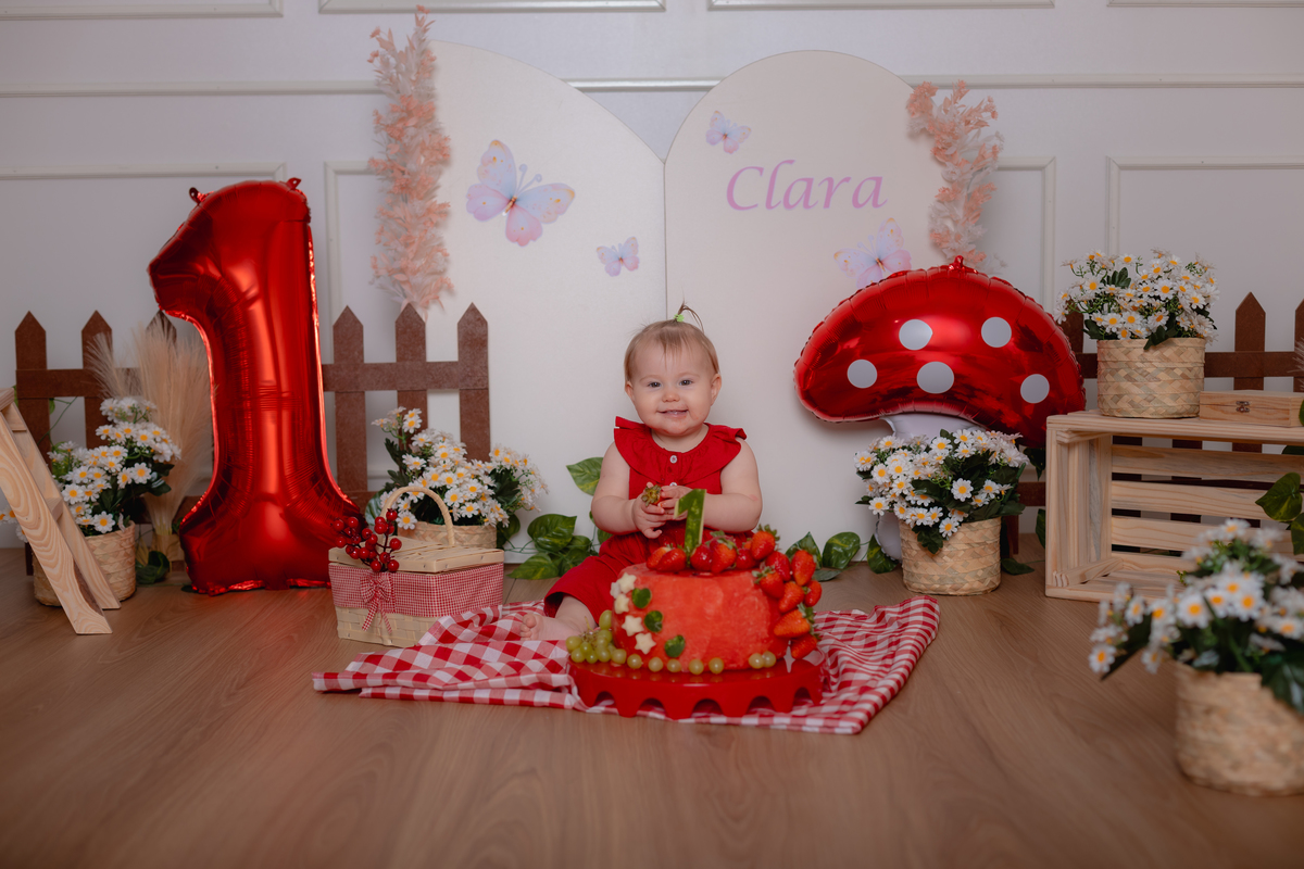 smash the cake - meu primeiro ano - aniversário infantil em studio - 1 aninho - fotografo maua da sera - apucarana - marilandia do sul - California - PAraná - 