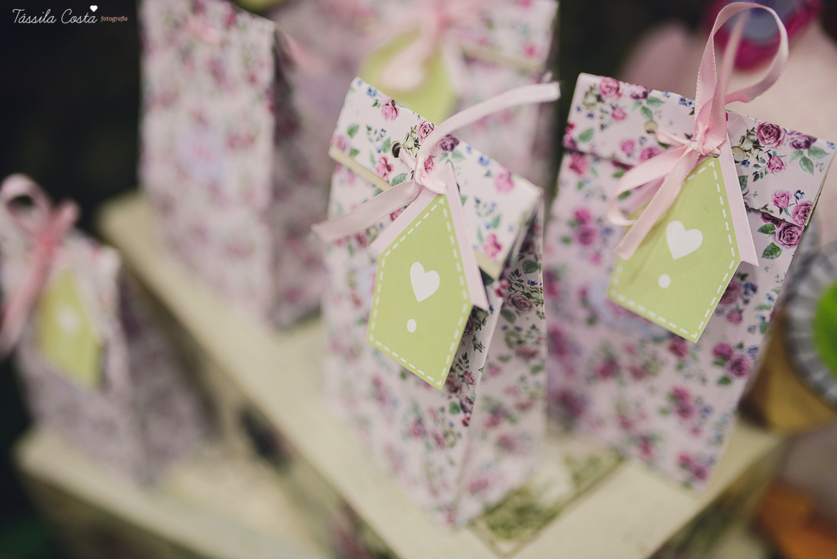 festa que toda mãe sonha, aniversário de 1 ano da filha Laís, no cerimonial Zueira Festas, na Praia da Costa, Tássila Costa fotografia, decoração de Muita Farra, promoção de fotos de aniversár