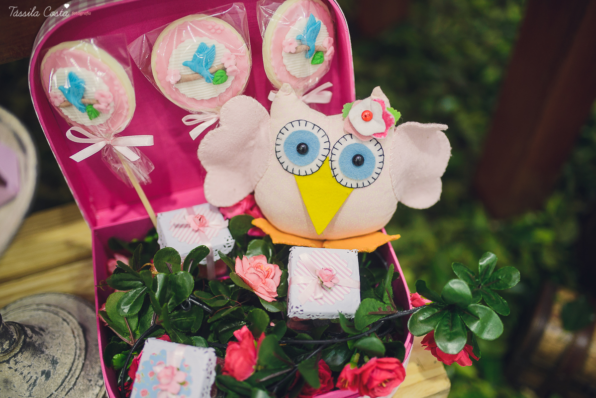 festa que toda mãe sonha, aniversário de 1 ano da filha Laís, no cerimonial Zueira Festas, na Praia da Costa, Tássila Costa fotografia, decoração de Muita Farra, promoção de fotos de aniversár