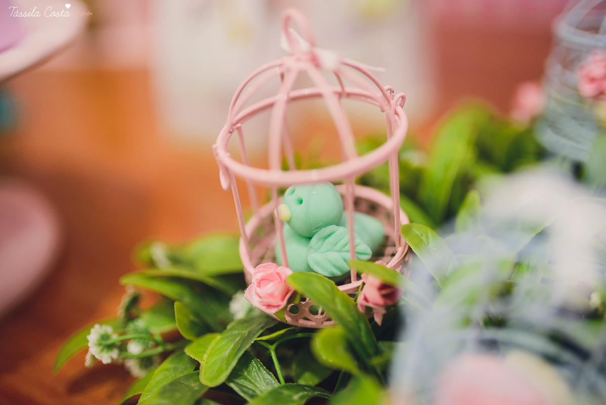 festa que toda mãe sonha, aniversário de 1 ano da filha Laís, no cerimonial Zueira Festas, na Praia da Costa, Tássila Costa fotografia, decoração de Muita Farra, promoção de fotos de aniversár