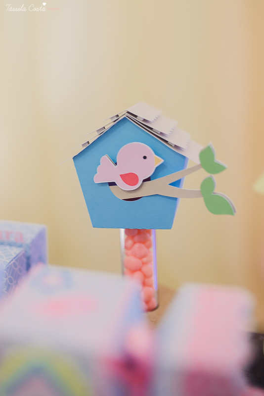 fotografo em vila velha, fotografo em vitoria, fotografo de festa infantil em vitoria es, tassila costa, tassila costa fotografia, tassila costa fotografa, tassila foto, fotografia, vila velha, vitoria, vix, es, aniversario, aniversario infantil, festa in