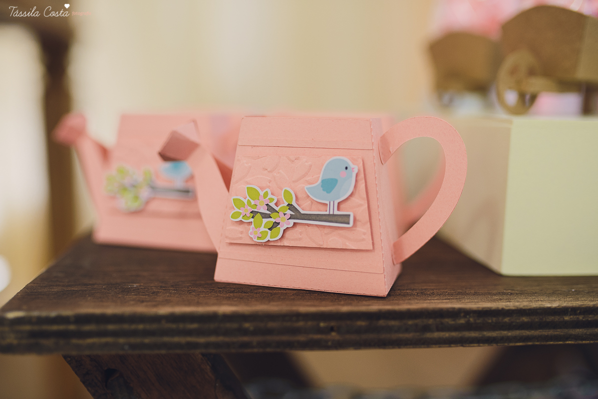 fotografo em vila velha, fotografo em vitoria, fotografo de festa infantil em vitoria es, tassila costa, tassila costa fotografia, tassila costa fotografa, tassila foto, fotografia, vila velha, vitoria, vix, es, aniversario, aniversario infantil, festa in