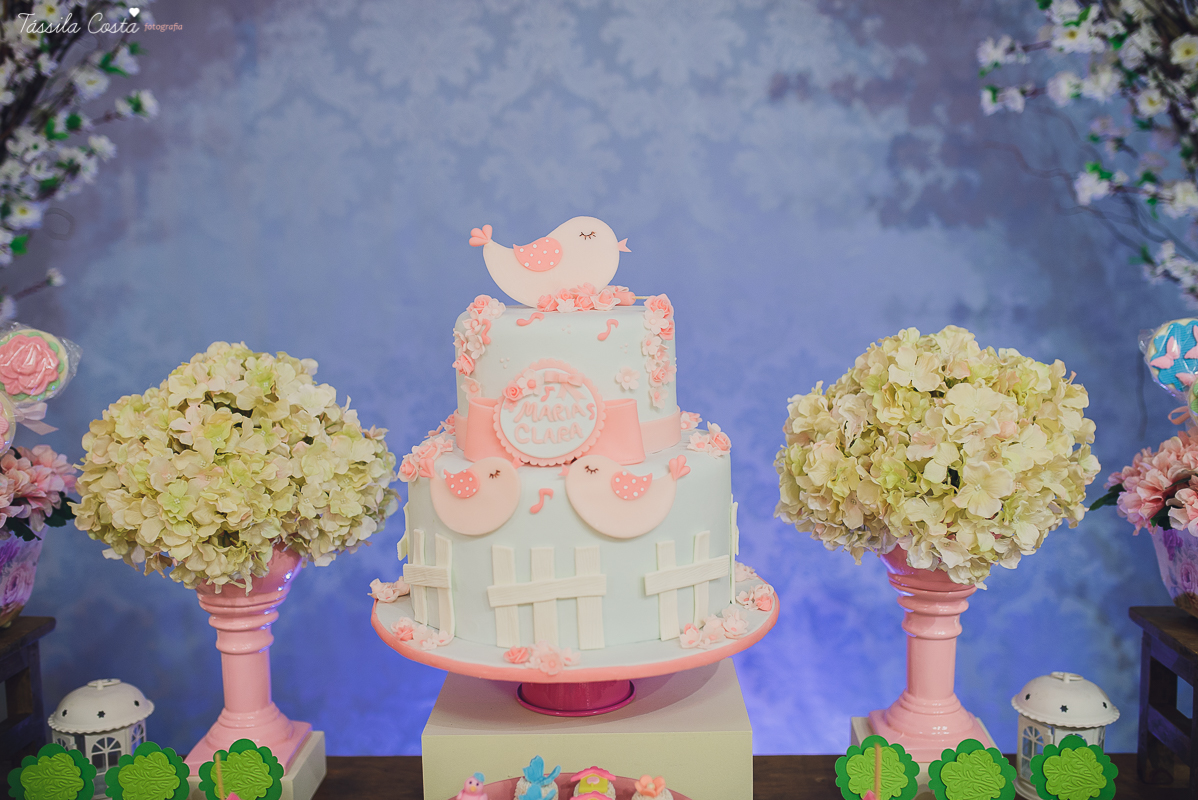 fotografo em vila velha, fotografo em vitoria, fotografo de festa infantil em vitoria es, tassila costa, tassila costa fotografia, tassila costa fotografa, tassila foto, fotografia, vila velha, vitoria, vix, es, aniversario, aniversario infantil, festa in