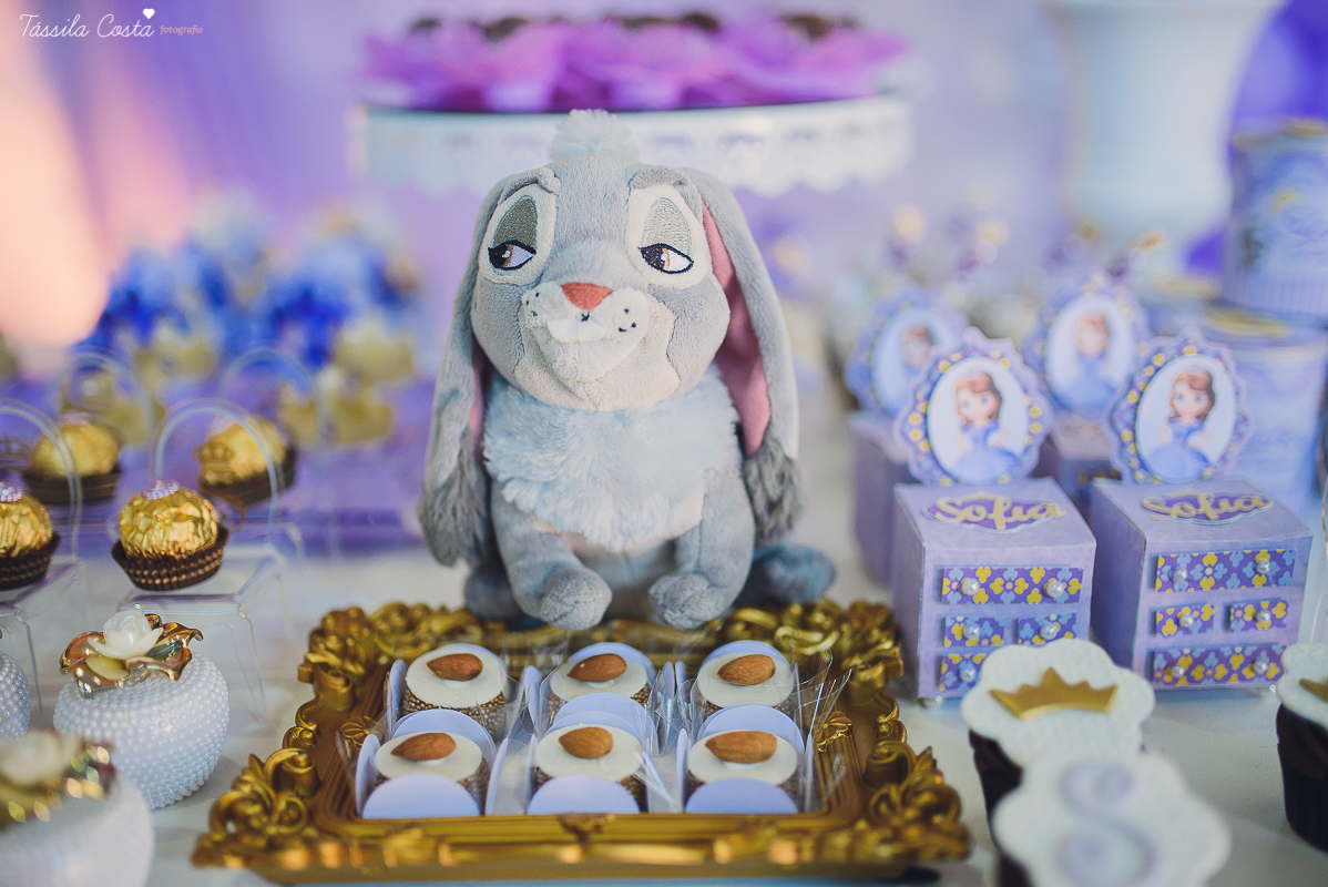 fotografo em vila velha, fotografo em vitoria, fotografo de festa infantil em vitoria es, tassila costa, tassila costa fotografia, tassila costa fotografa, tassila foto, fotografia, vila velha, vitoria, vix, es, aniversario, aniversario infantil, festa in