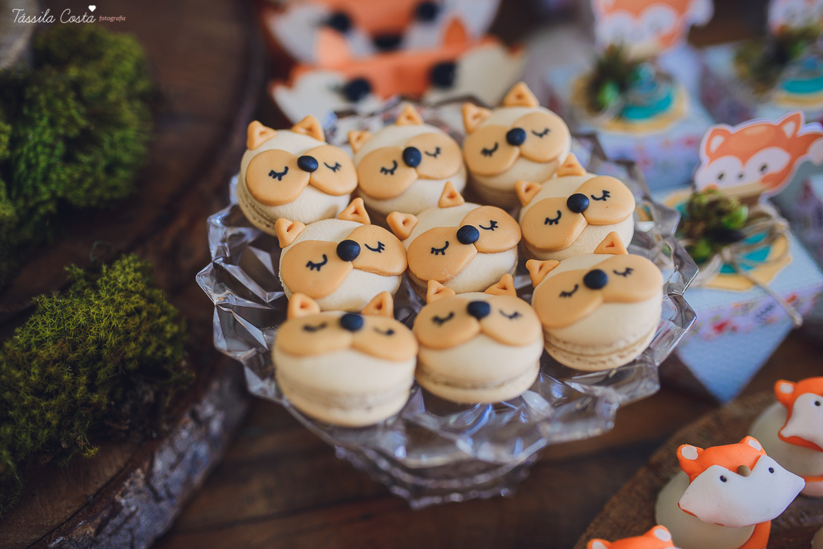 chá de bebê super diferente, festa no tema raposa, festa intimista e linda, chá de bebê de menino, decoração de chá de bebê super diferente