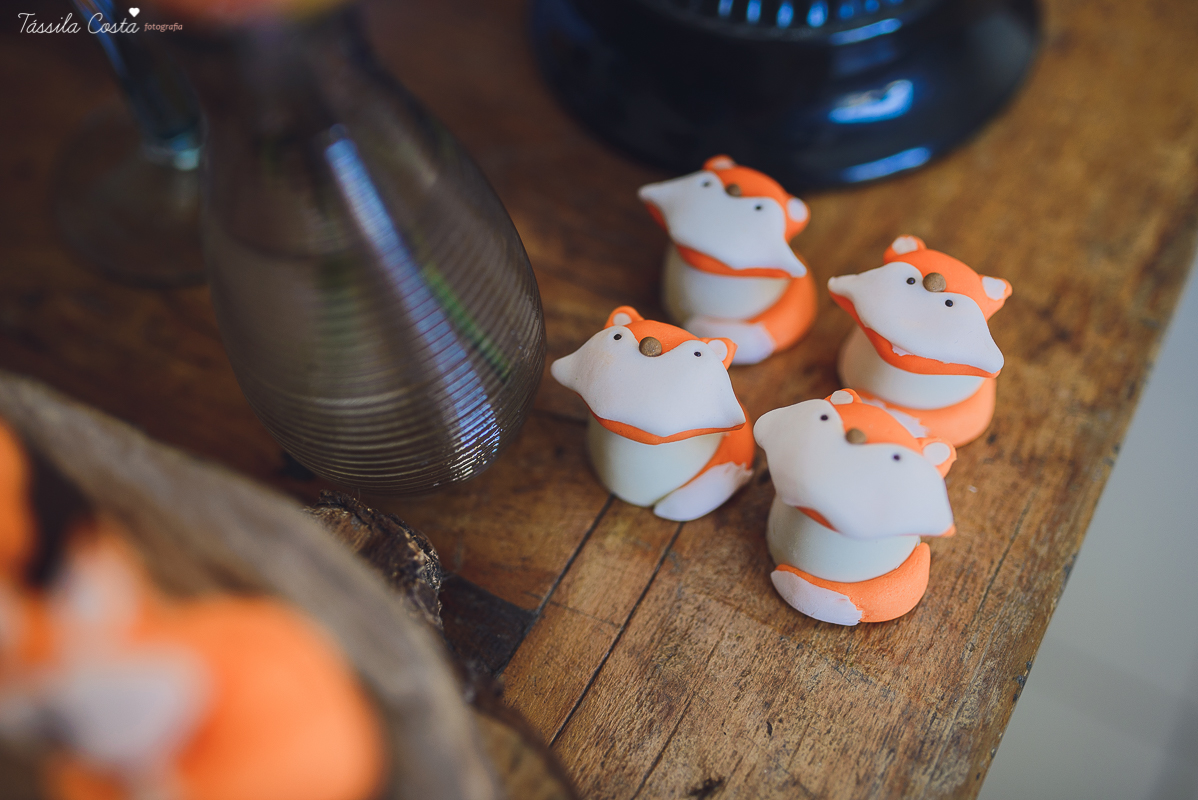 chá de bebê super diferente, festa no tema raposa, festa intimista e linda, chá de bebê de menino, decoração de chá de bebê super diferente