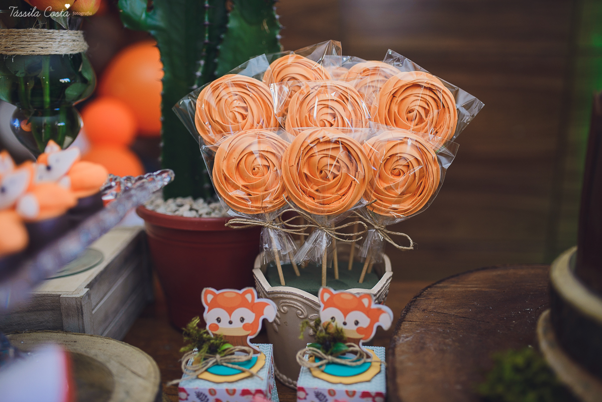 chá de bebê super diferente, festa no tema raposa, festa intimista e linda, chá de bebê de menino, decoração de chá de bebê super diferente