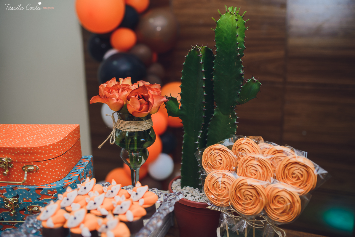 mamãe de 2, menina e menino, família aumentando, promovida a irmã mais velha, fotografia de chá de bebê, fotografia na Serra ES, fotos para vida