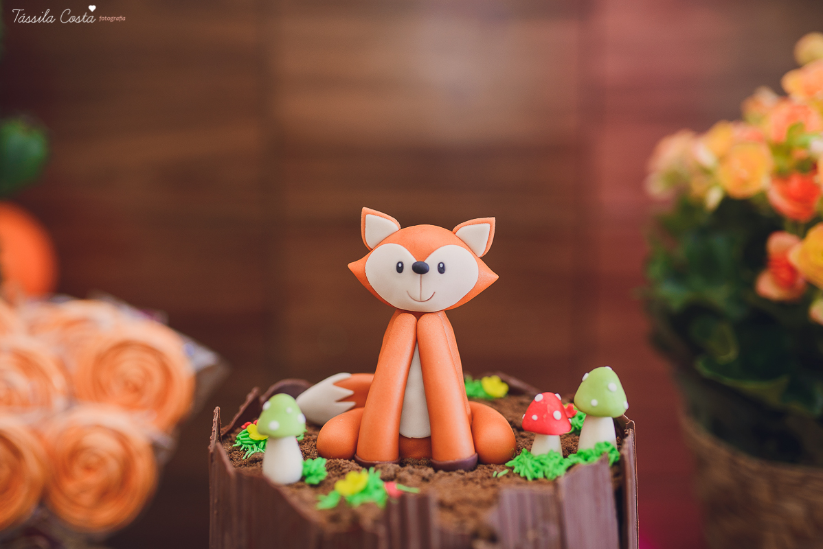 chá de bebê super diferente, festa no tema raposa, festa intimista e linda, chá de bebê de menino, decoração de chá de bebê super diferente