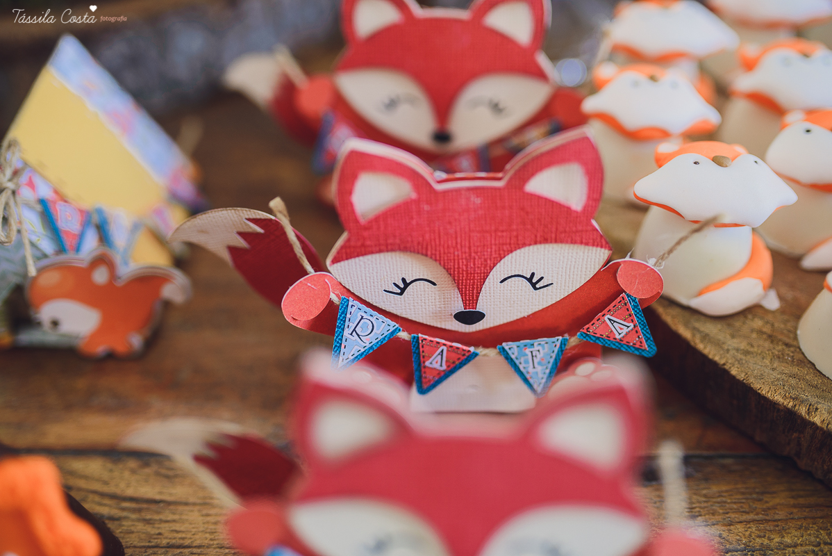 chá de bebê super diferente, festa no tema raposa, festa intimista e linda, chá de bebê de menino, decoração de chá de bebê super diferente