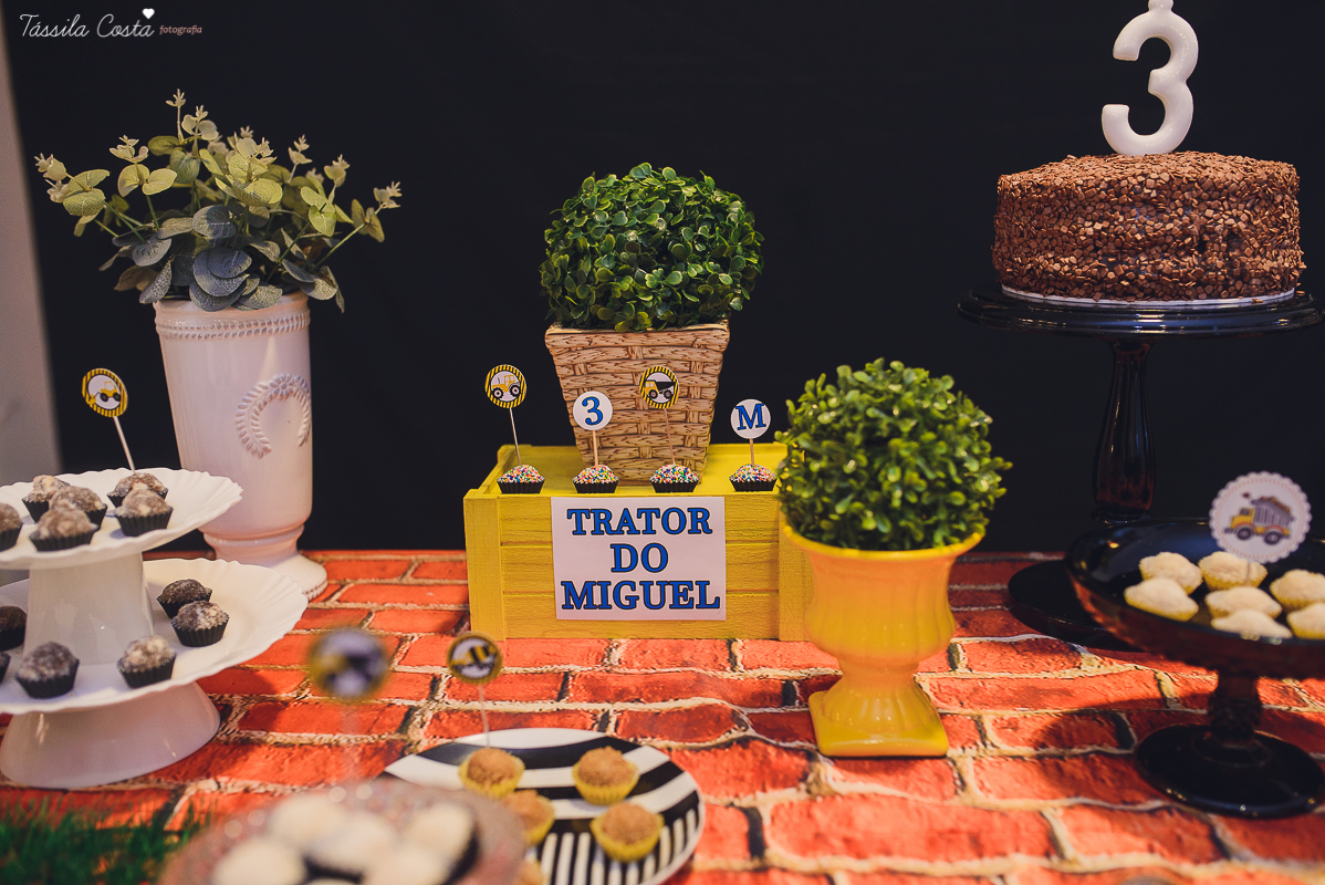 festa no colônia de férias Na Brinca, decoração de festa de menino no tema trator, fotografia by Tássila Costa, fotos de aniversário infantil em Vitória ES