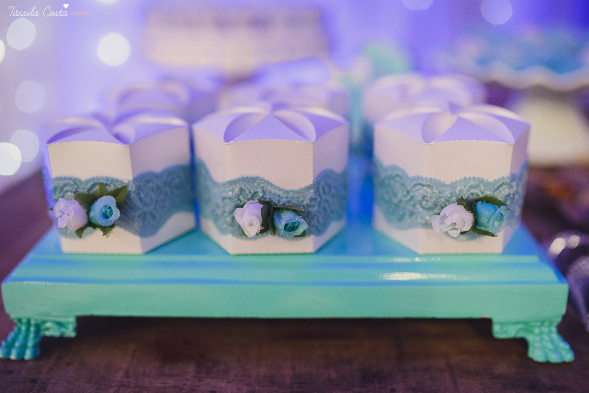 fotografo em vila velha, fotografo em vitoria, fotografo de festa infantil em vitoria es, tassila costa, tassila costa fotografia, tassila costa fotografa, tassila foto, fotografia, vila velha, vitoria, vix, es, aniversario, aniversario de 15 anos, festa 