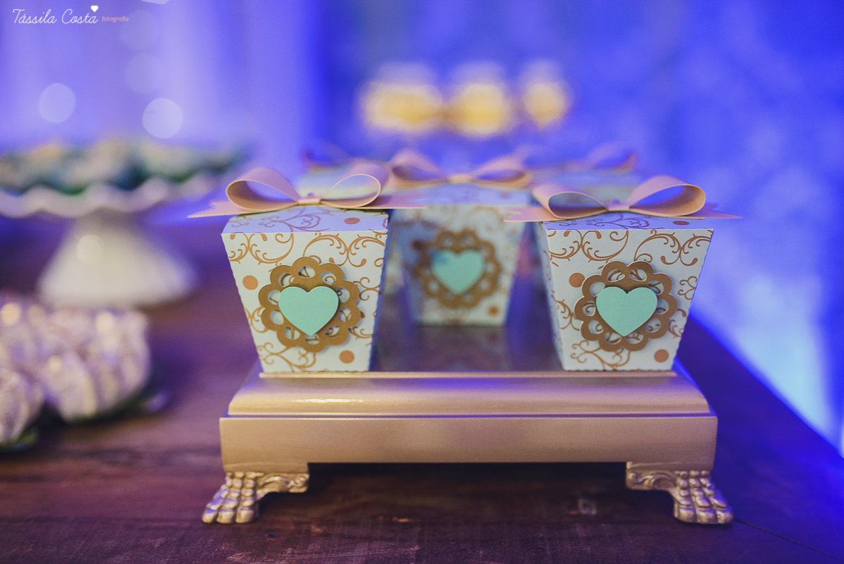 fotografo em vila velha, fotografo em vitoria, fotografo de festa infantil em vitoria es, tassila costa, tassila costa fotografia, tassila costa fotografa, tassila foto, fotografia, vila velha, vitoria, vix, es, aniversario, aniversario de 15 anos, festa 