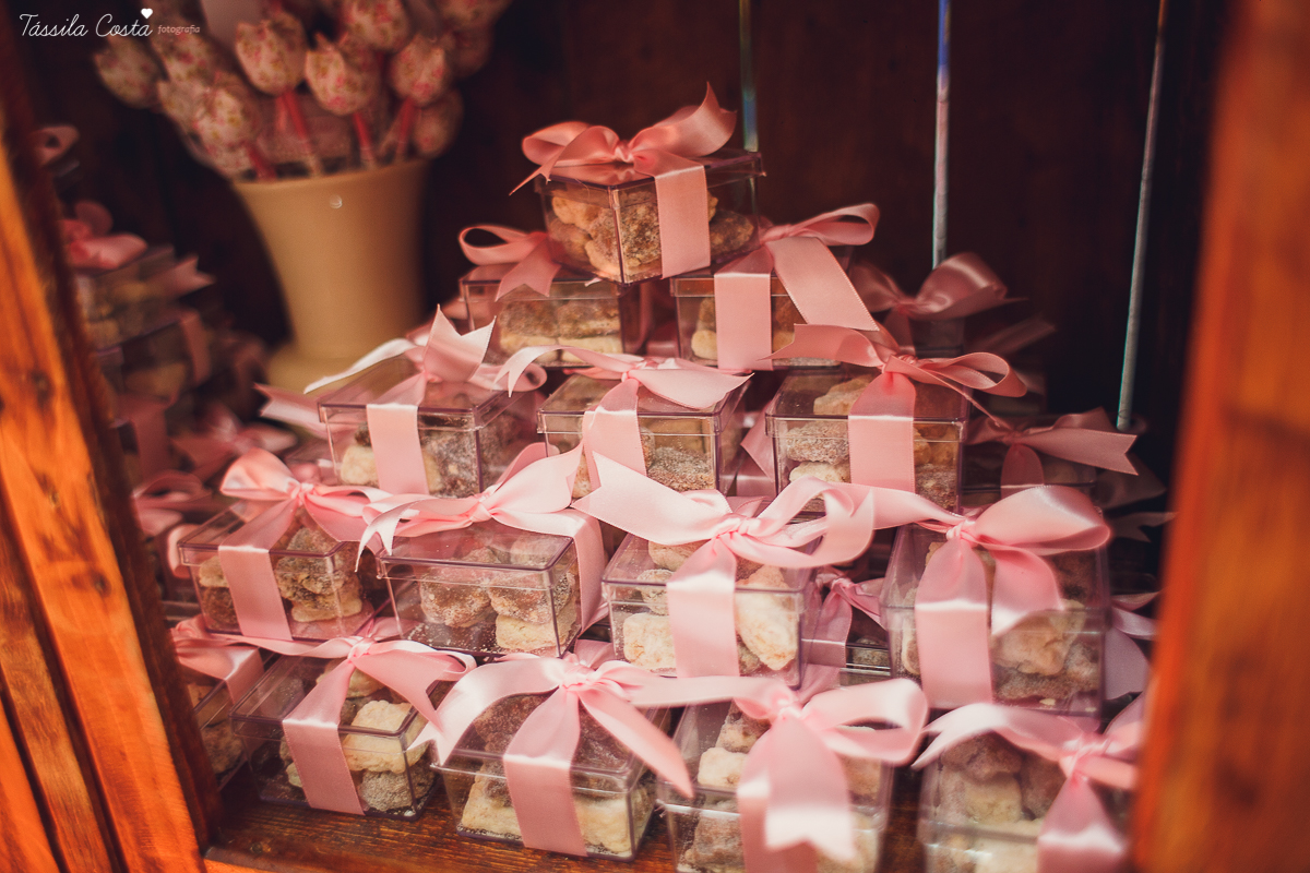 festa de menina, no tema Jardim, feita no cerimonial Balladas Kids, Serra ES, mam&atilde;e de primeira viagem, decora&ccedil;&atilde;o linda by Karina Melotti, fotos t&aacute;ssila costa, fotografia de festa infantil