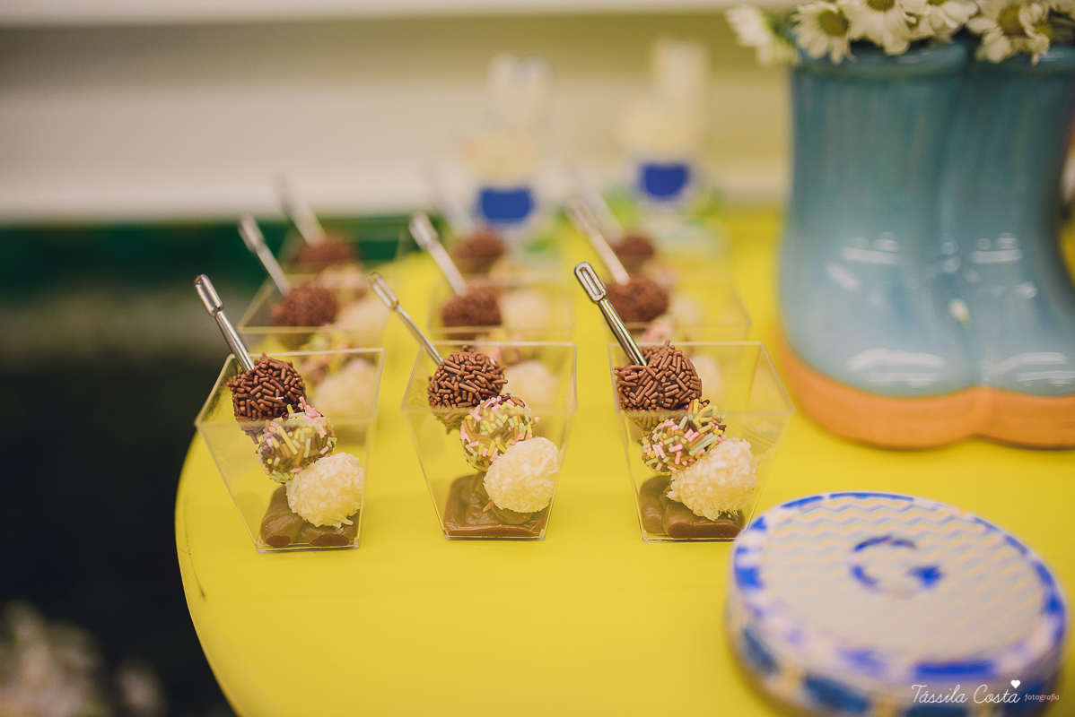 fotografo em vila velha, fotografo em vitoria, fotografo de festa infantil em vitoria es, tassila costa, tassila costa fotografia, tassila costa fotografa, tassila foto, fotografia, vila velha, vitoria, vix, es, aniversario, aniversario infantil, festa in