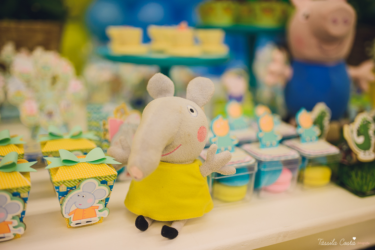 fotografo em vila velha, fotografo em vitoria, fotografo de festa infantil em vitoria es, tassila costa, tassila costa fotografia, tassila costa fotografa, tassila foto, fotografia, vila velha, vitoria, vix, es, aniversario, aniversario infantil, festa in