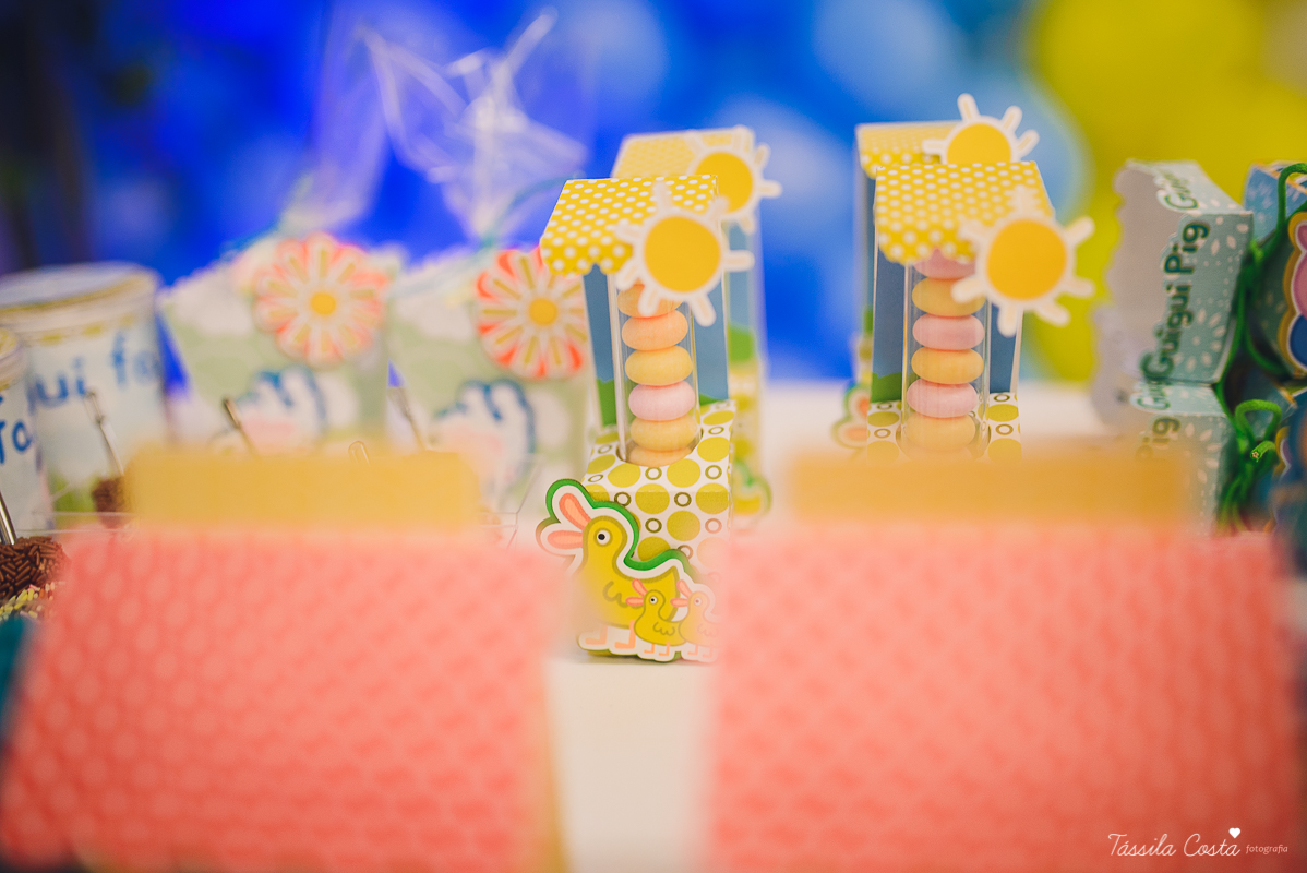 fotografo em vila velha, fotografo em vitoria, fotografo de festa infantil em vitoria es, tassila costa, tassila costa fotografia, tassila costa fotografa, tassila foto, fotografia, vila velha, vitoria, vix, es, aniversario, aniversario infantil, festa in