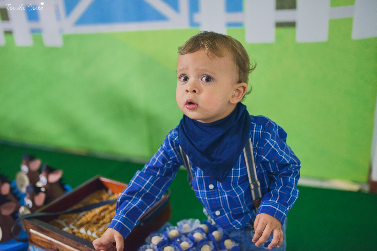 FESTA DE MENINO, NO TEMA FAZENDINHA, 2 ANOS DO HUGO, TSSILA COSTA FOGRAFIA
