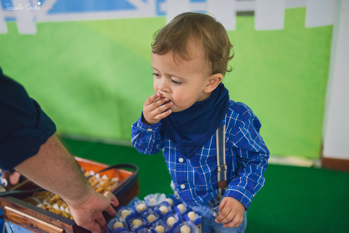 FESTA DE MENINO, NO TEMA FAZENDINHA, 2 ANOS DO HUGO, TSSILA COSTA FOGRAFIA