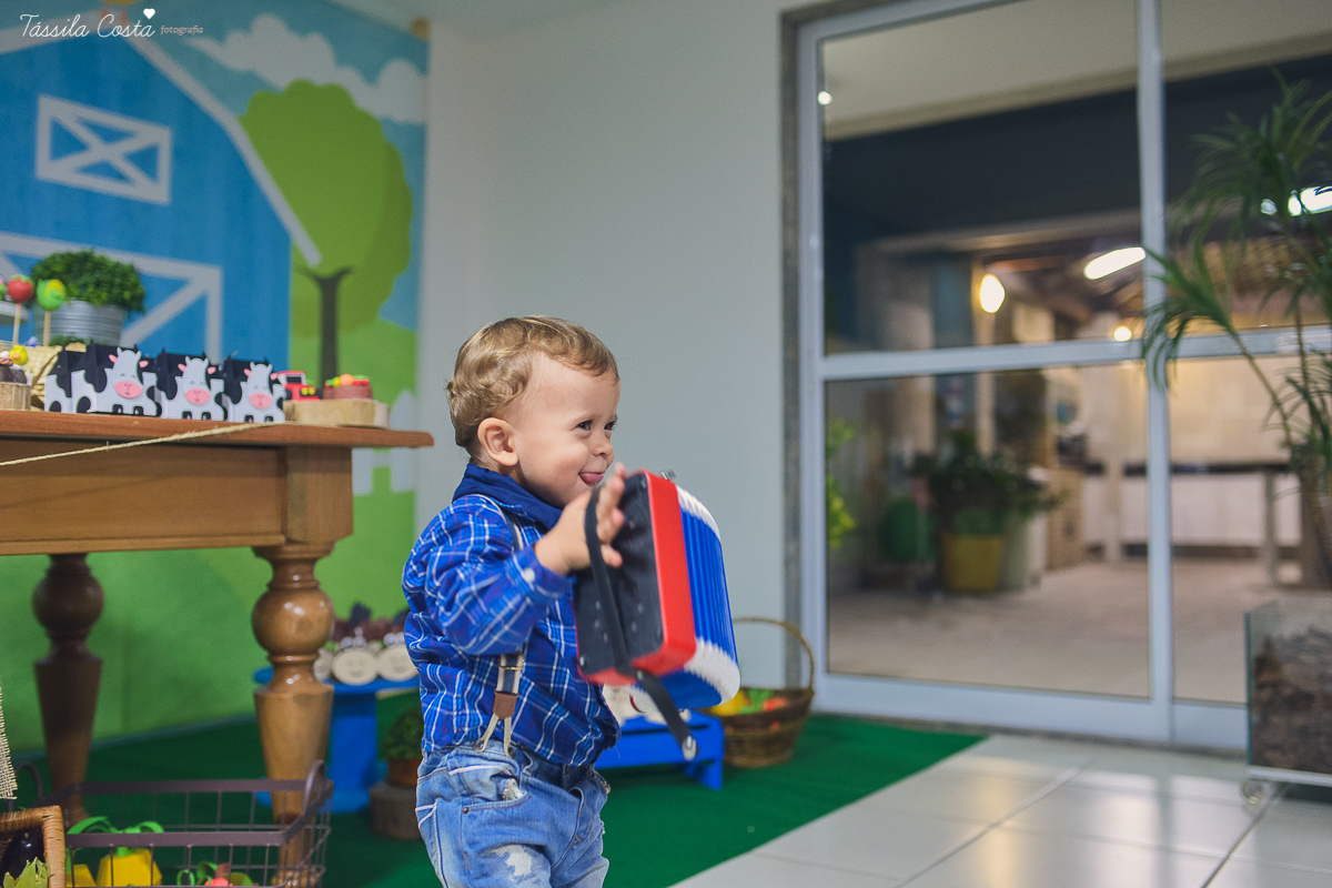 FESTA DE MENINO, NO TEMA FAZENDINHA, 2 ANOS DO HUGO, TSSILA COSTA FOGRAFIA