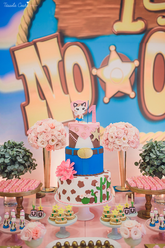 fotografo em vila velha, fotografo em vitoria, fotografo de festa infantil em vitoria es, tassila costa, tassila costa fotografia, tassila costa fotografa, tassila foto, fotografia, vila velha, vitoria, vix, es, aniversario, aniversario infantil, festa in