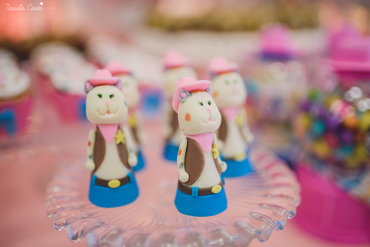 fotografo em vila velha, fotografo em vitoria, fotografo de festa infantil em vitoria es, tassila costa, tassila costa fotografia, tassila costa fotografa, tassila foto, fotografia, vila velha, vitoria, vix, es, aniversario, aniversario infantil, festa in