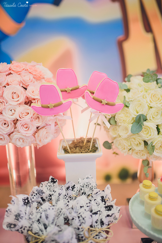 fotografo em vila velha, fotografo em vitoria, fotografo de festa infantil em vitoria es, tassila costa, tassila costa fotografia, tassila costa fotografa, tassila foto, fotografia, vila velha, vitoria, vix, es, aniversario, aniversario infantil, festa in