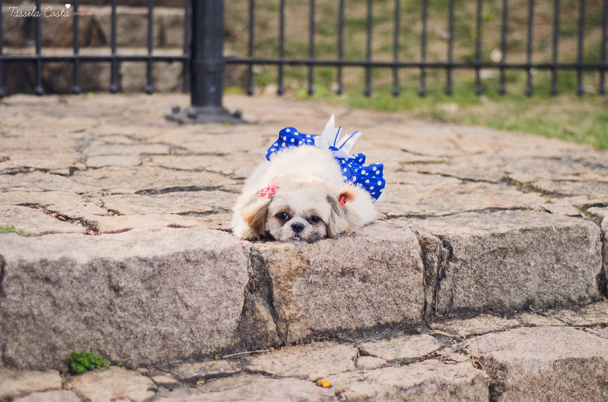 book de gravida, gravidez, foto de gravida, foto de gestante, book de gestante, foto de gravida em vitoria, gravidos, ideias para foto de gravida, ideias para fotos na gestacao, foto de familia, ensaio de familia, ensaio de casal, foto de casal, fotos de 