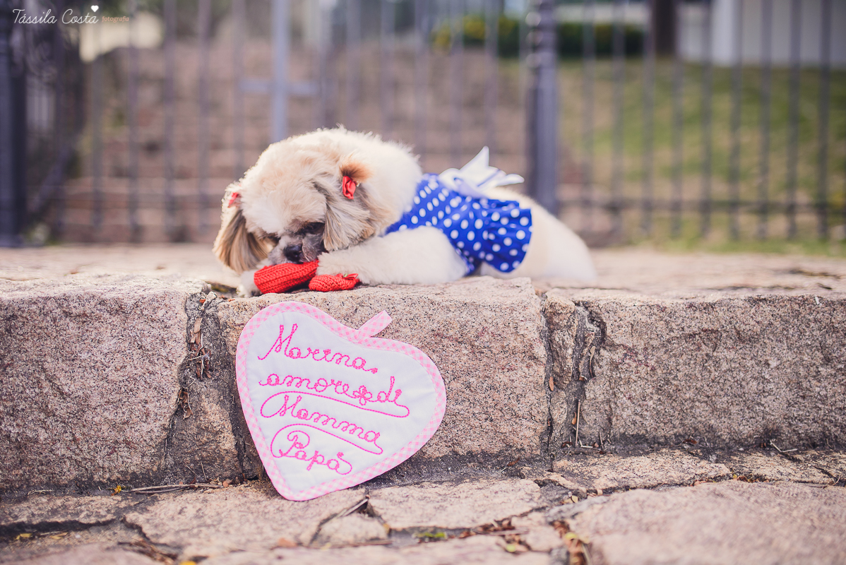 book de gravida, gravidez, foto de gravida, foto de gestante, book de gestante, foto de gravida em vitoria, gravidos, ideias para foto de gravida, ideias para fotos na gestacao, foto de familia, ensaio de familia, ensaio de casal, foto de casal, fotos de 