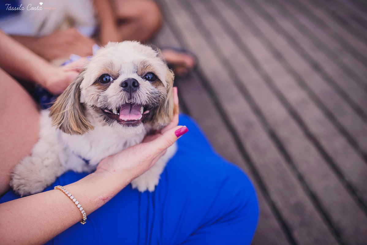 book de gravida, gravidez, foto de gravida, foto de gestante, book de gestante, foto de gravida em vitoria, gravidos, ideias para foto de gravida, ideias para fotos na gestacao, foto de familia, ensaio de familia, ensaio de casal, foto de casal, fotos de 