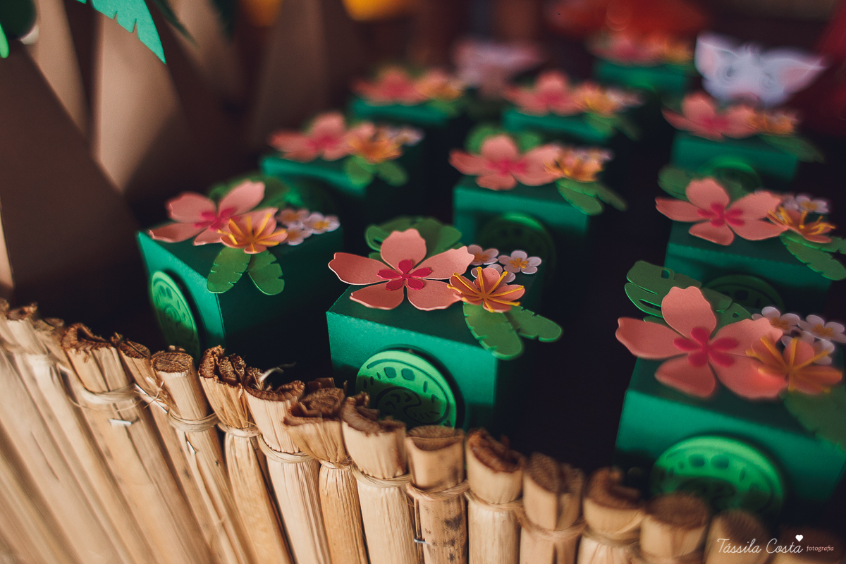 festa da Moana, mariana 4 anos, festa feita na creche, só para amigos, festa intimista, decoração super linda da Moana, festa de menina, filme da Moana, tássila costa, fotografia de festa infantil, festa infantil em Vitória, aniversário maravilhoso