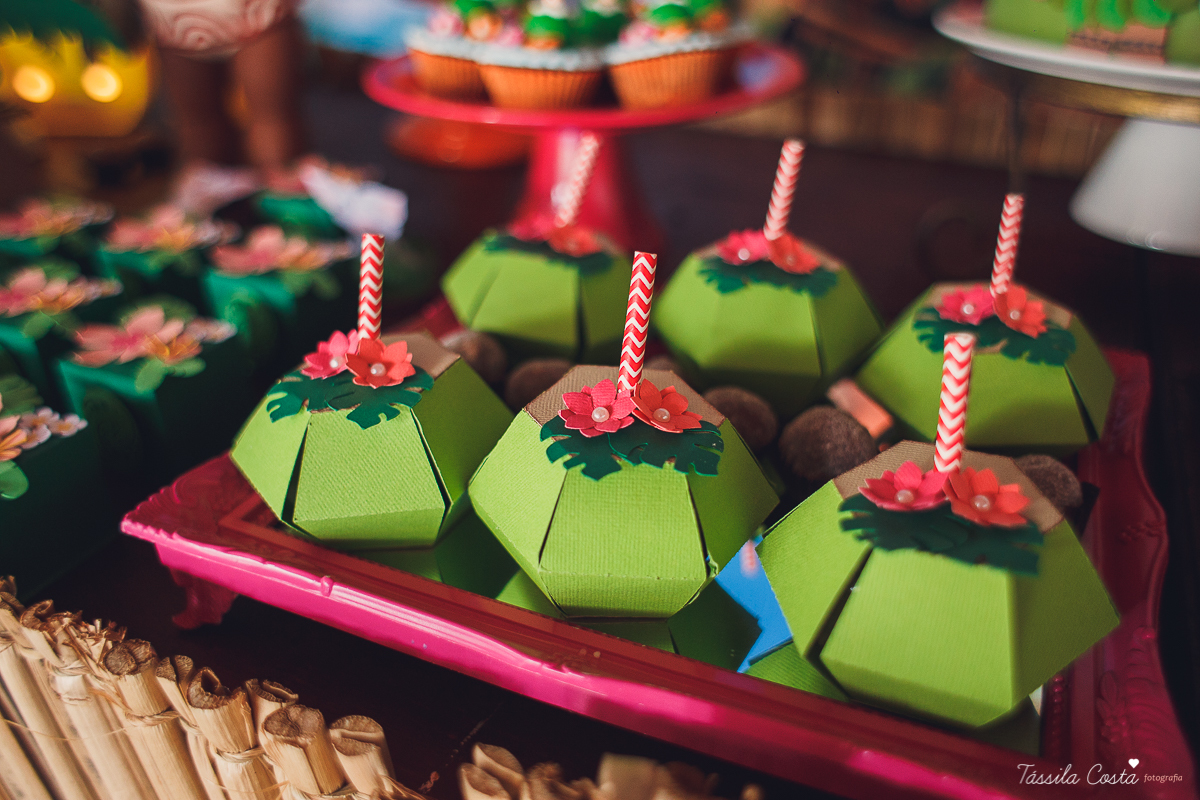 festa da Moana, mariana 4 anos, festa feita na creche, só para amigos, festa intimista, decoração super linda da Moana, festa de menina, filme da Moana, tássila costa, fotografia de festa infantil, festa infantil em Vitória, aniversário maravilhoso