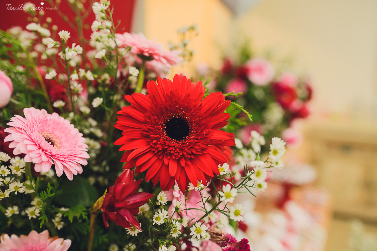 tassila costa, tassila costa fotografia, decoracao, decoracao de festas, cha bar, cha diferente,  decor,  noiva, noivado noivos, mini wedding, wedding, casar, casar no espirito santo, vila velha, ana perim, casamento do ano, casados, decor linda, woods, v