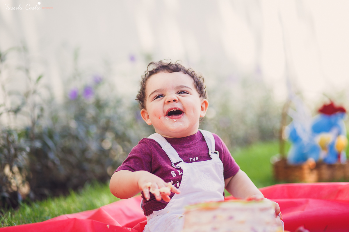 tassila costa, tassila fotografia, tassila costa fotografia, tassilacfotografia, ensaio do João Alexandre, família linda, fotografia na Mata da Praia, ensaio pre aniversario, ilha do frade, espirito santo, foto de familia, bebe lindo, bebe f