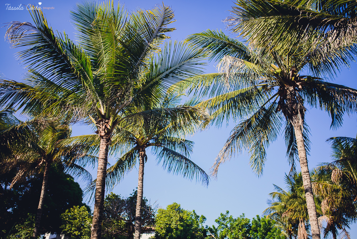foto de casal em vitoria, fotografo de casal em vitoria, foto de casal em vila velha, fotografo de casal es, tassila costa, tassila costa fotografia, casando no es, casamento no espirito santo, ensaio externo no espirito santo, ensaio externo no campo, il