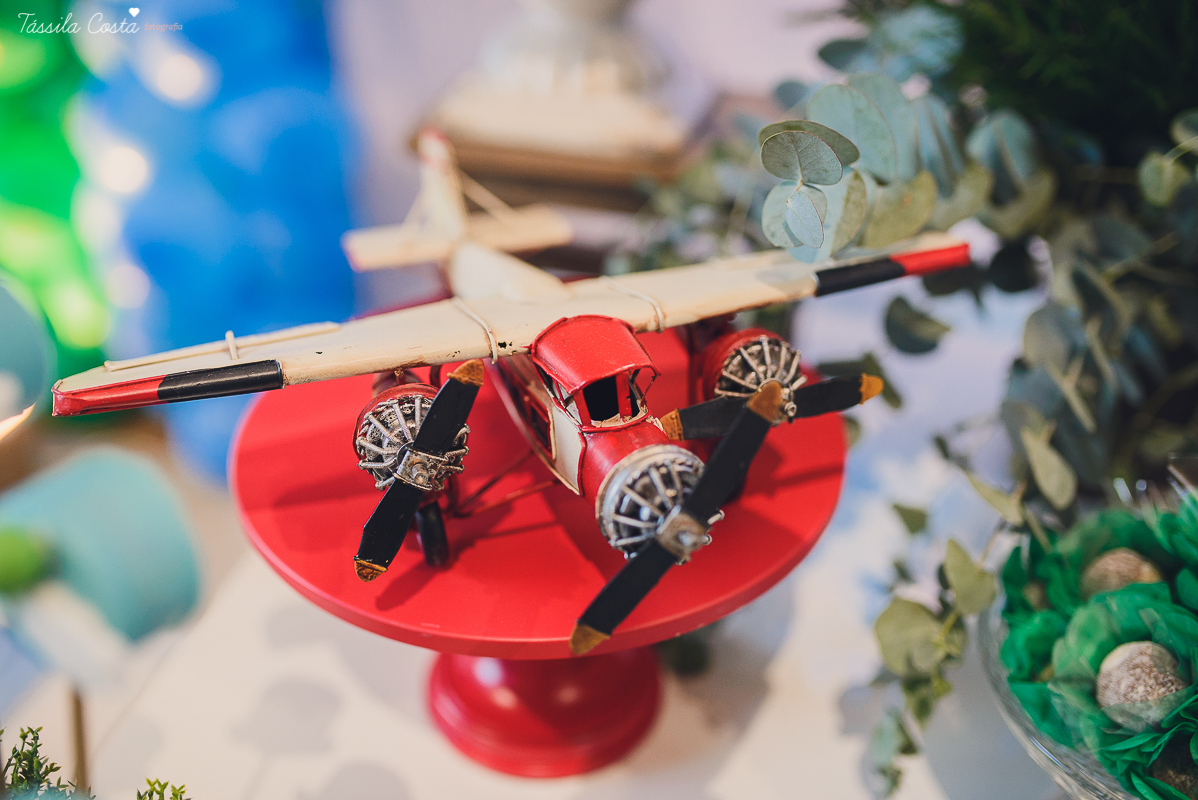 fotografo em vila velha, fotografo em vitoria, fotografo de festa infantil em vitoria es, tassila costa, tassila costa fotografia, tassila costa fotografa, tassila foto, fotografia, vila velha, vitoria, vix, es, aniversario, aniversario infantil, festa in