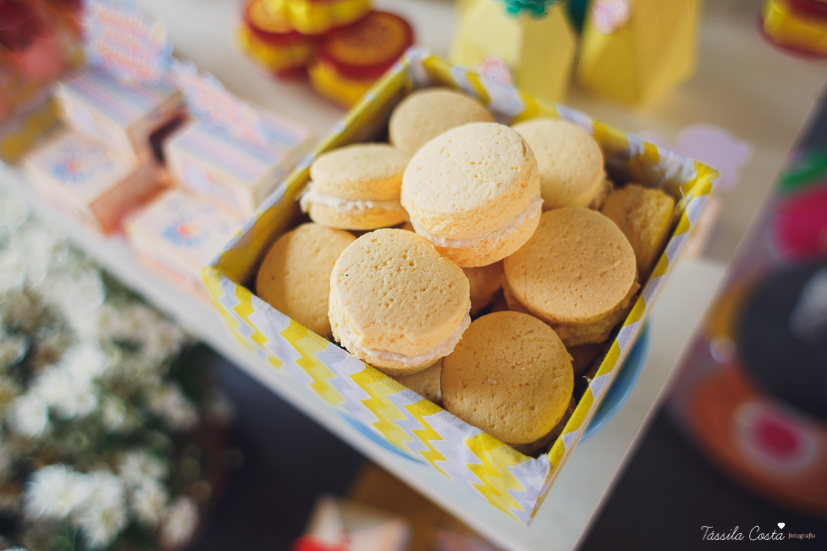 aniversario infantil no clube alvares cabral, beatriz 3 anos, aniversario de menina, bia 3 anos, vitoria es, em frente ao senac, tassila costa fotografia